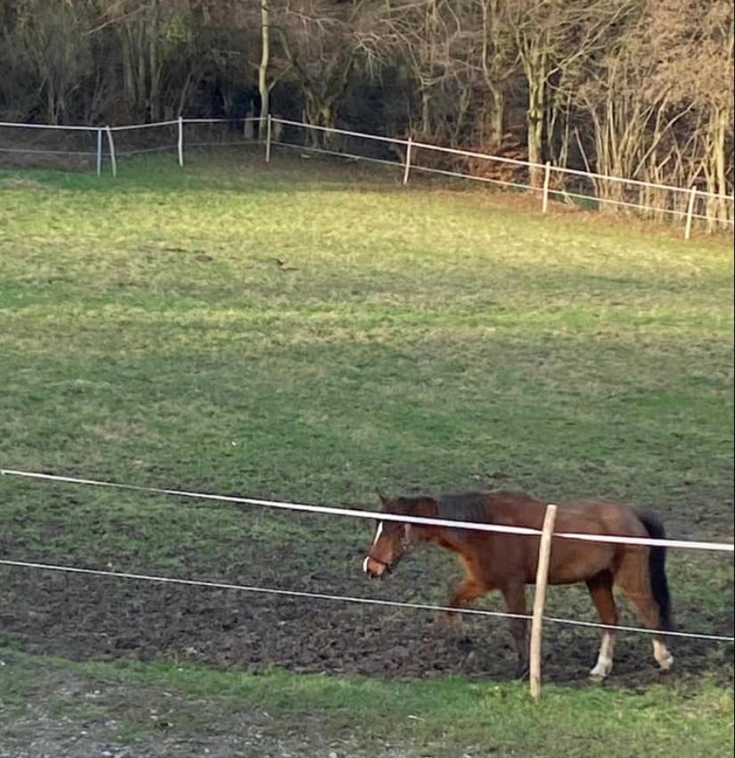 فيلا Andenneفي Le Ranch Des Aguesses المظهر الخارجي الصورة