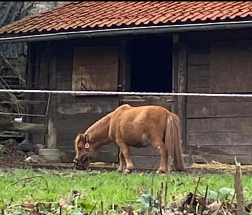 فيلا Andenneفي Le Ranch Des Aguesses المظهر الخارجي الصورة